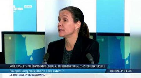 Le journal international - L&#39;actualité internationale du jeudi 14 novembre 2024 - TV5MONDE