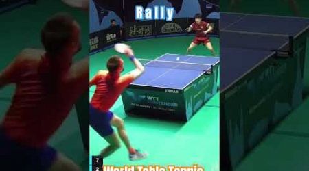 Rally #worldtabletennis #pingpong #tabletennisplayer #tenismeja #tabletennis #sports #video #videos