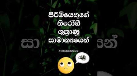 පිරිමියෙකු නිරෝගි නම් 