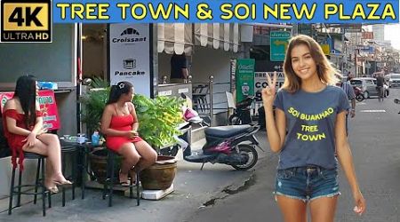 Soi Buakhao afternoon drive Soi 11 Soi New Plaza Tree Town 2024 November Pattaya Thailand