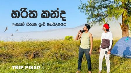 අපේ රටේ තියෙන පුංචි නවසීලන්තය⛰️ Haritha Kanda camping 