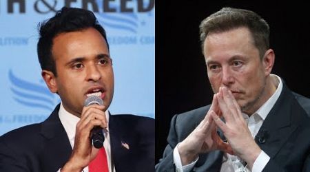 Elon Musk and Vivek Ramaswamy ‘might make the difference’ with government cost-cutting