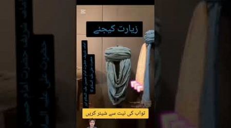 زیارت کیلئے ثواب کی نیت سے شیئر کریں #islamicvideo #duet #duetz #travel #myduetify #funny #memes