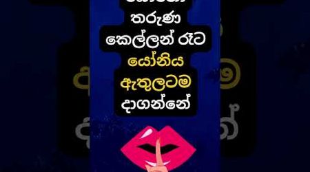 හම්බෝ දන්නවද එයාල කරන දේ 