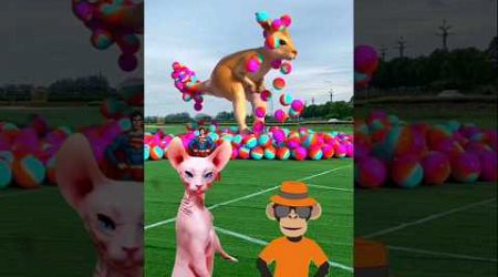 The mascot vibrato assistant placed on thefootball field is popular #shorts #viralshorts​​