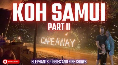 KOH SAMUI PART II : Elephants, Piggies and More