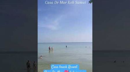 Casa beach ⛱️ Casa De Mar 