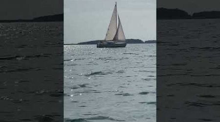 Les voiliers sur le lac de la forêt d&#39;Orient - En fin d&#39;après-midi sur le lac