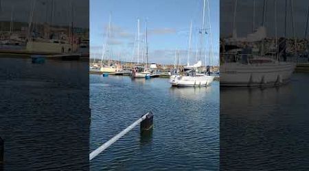 Harbour, Simrishamn, Sweden (3) #sweden #sverige #harbour #harbor