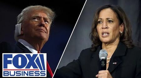 Gen Zer says Kamala Harris was &#39;disconnected&#39; from larger voter issues