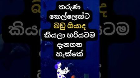 හම්බෝ එතකොට තමයි මරුම 