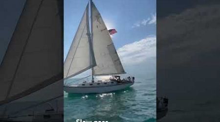 Cape Dory 36 under sail. #sailing #sailboat #lakemichigan ￼