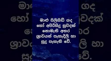 ඔයාගේ එකත් නිරෝගීමත්ද? 