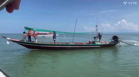 Pink dolphin viewing and exploring pig island in Koh Samui