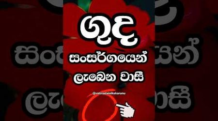 ලොකුම වාසිය තමයි අන්තිමට තියෙන්නෙ 