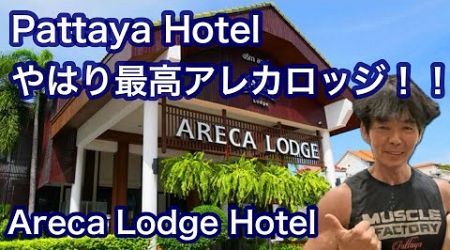 Pattaya Hotel やはり最高アレカロッジ！！　　Areca Lodge Hotel