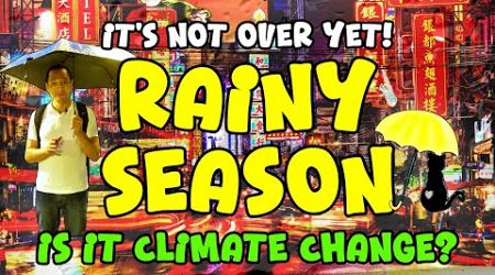 ✅2024: A LONG RAINY SEASON | A History Of Flooding In Bangkok | What The Condo Videos Don&#39;t Tell You