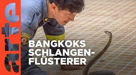 Auf Schlangenjagd in Bangkok | GEO Reportage | Doku HD | ARTE