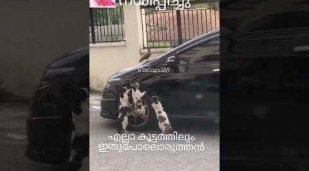 ഒരുത്തൻ മതി എല്ലാം കുളമാക്കാൻ #travel #funny #comedyvideos #shortvideos