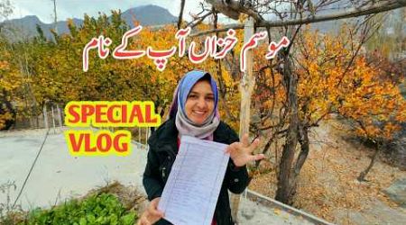 Special Vlog | Daily Lifestyle Vlog | My Village | Vlogs New Video