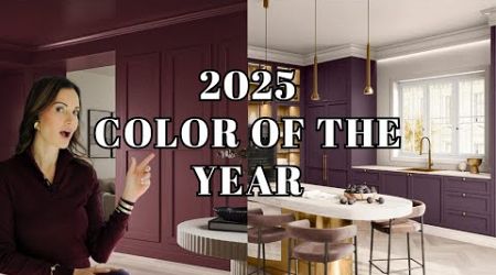 2025 COLOR TRENDS | Color of The Year Revealed!