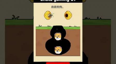 Funny dog game 