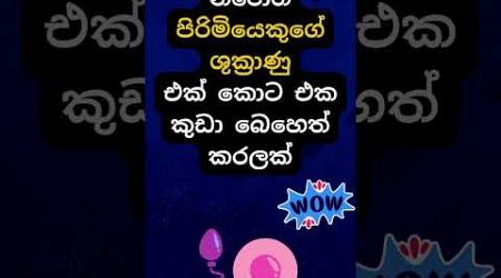 හම්බෝ දන්නවද වෙන දේ 