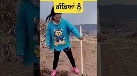 ਆਂਡਿਆਂ ਦੀ ਰੇਹ ਪਾਉਂਦੇ ਗੰਡਿਆਂ ਨੂੰ #maanbrar #viral #popular #onion #henfarm #thialand#kisaani #hashtag