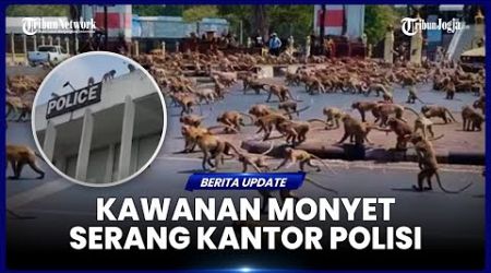 KANTOR POLISI DI THAILAND DISERANG KAWANAN MONYET