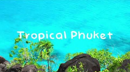 Lichu — Tropical Phuket