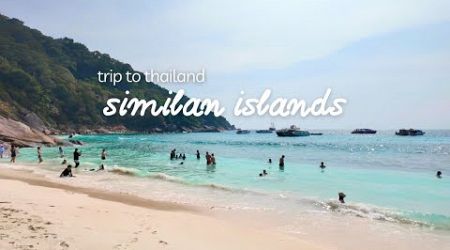 Phuket vlog : similan islands tour &amp; activities