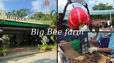 #bigbee farm #thailandtravel #Thecashew nut factory #phuket #thailanddaytrip