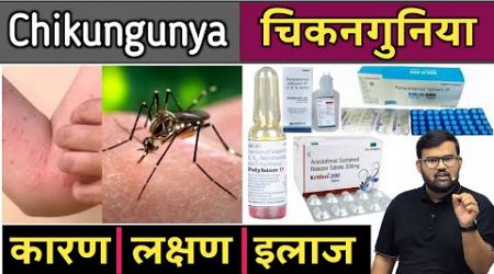 चिकनगुनिया - Chikungunya | Medicine | Treatment | Pharmacy | Doctor | Mbbs | Bhms | Bams | Bums