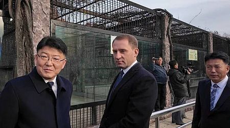 Putin gifts zoo animals, including lion and bears, to North Korean zoo