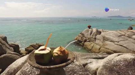 Koh Samui One Day Trip