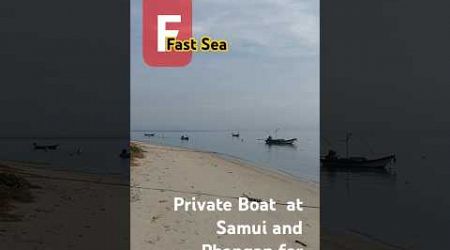 Fast Sea.,#privatboat #kayakrentals #kayakforrent #privatboat #kayakboat #samui #phangan #fastsea