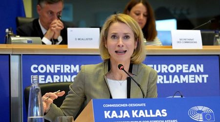 New EU diplomat vows tough stance on China, strong alliance with US 