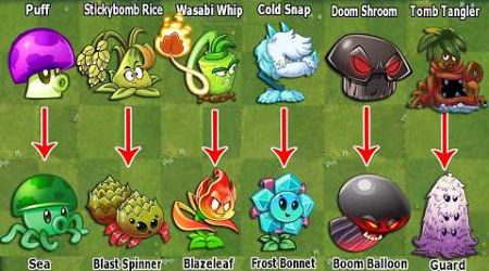 Pvz 2 Discovery - All Plants International &amp; China Version Evolution NOOB - PRO