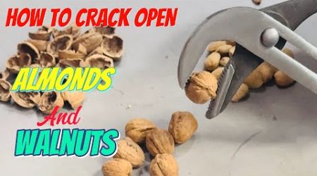 HOW TO CRACK OPEN WALNUTS AND ALMONDS #ASMR #walnuts #almonds #viral #trends #viralvideos