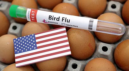 US CDC confirms H5N1 bird flu in a child in California