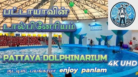 PATTAYA DOLPHINARIUM - 