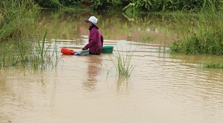 More rain pounding southern provinces