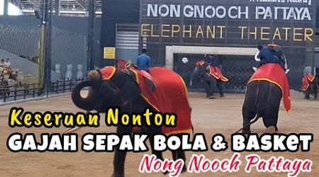 Gajah Main Bola di Nong Nooch Pattaya