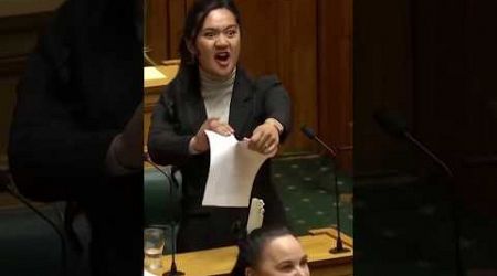 New Zealand parliament Haka protest #newzealand #hakaitv #protest #parliament #politics