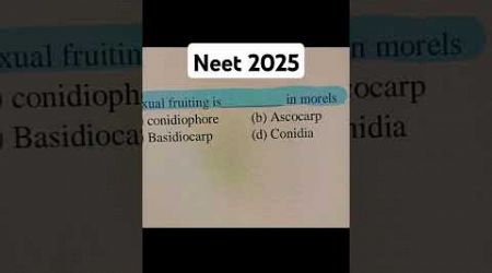 Neet 2025#neet #neetaspirants #medical #motivation #mbbs #medicalstudent#trendingreels #shorts#neet