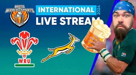 Wales vs Springboks Live Stream | 2024 Rugby International