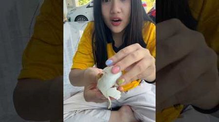 ไข่หรือเยลลี่ #youtubeshorts #thailand #shortvideo