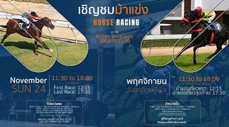 Thailand Horse Racing ไทยแลนด์ฮอร์สเรสซิ่ง | Sunday November 24th 2024