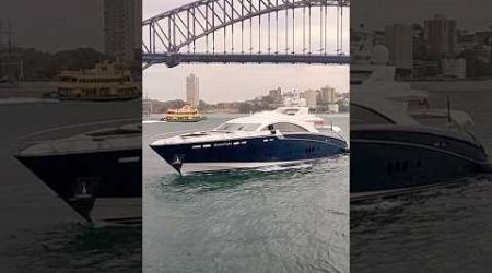 Quantum yacht ⛵Sydney Harbour #shorts #yacht #quantum #sydney #harbor