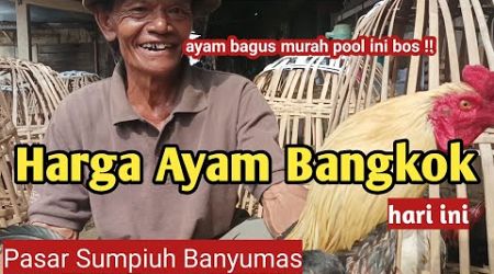 MURAH POOL !!! 180 RIBU DAPAT 2 EKOR HARGA AYAM JAGO BANGKOK TERBARU HARI INI PASAR SUMPIUH BANYUMAS